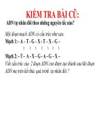 Giáo án thao giảng thanh tra toàn diện đổi mới phương pháp sinh học tiết 17 mối quan hệ giữa gen và  ARN