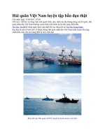 Hải quân Việt Nam luyện tập bắn đạn thậ