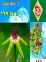 Tiết 30 - Ôn tập