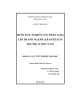 khóa luận tốt nghiệp bước đầu nghiên cứu phân loại chi thành ngạnh (cratoxylum blume) ở việt nam