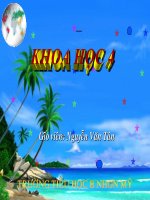 KH4 BÀI : BA THỂ CỦA NƯỚC