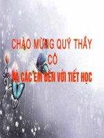 Bài 11- Màu sắc
