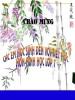 hai tg bằng nhau c.c.c