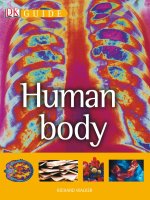human body