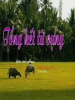 ngữ văn 9 TỔNG KẾT TỪ VỰNG