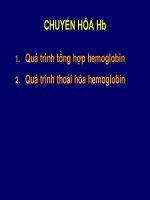 Chuyển hóa hemoglobin
