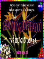 Bài 19.Thực Hành