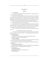 Một số phương pháp giải hệ phương trình tuyến tính