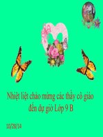 tiết 21 Ôn tâp sinh 9