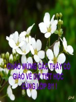 Tìm hiểu chung về văn TM