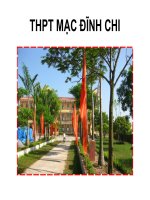 Lực từ, cảm ứng từ
