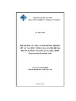 ảnh hưởng của iba và hàm lượng khoáng lên sự tạo rễ in vitro, loại giá thể lên sự thuần dưỡng cây bằng lăng nhiều hoa(lagerstroemia floribunda jack)