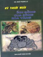 Kĩ thuật nuôi ếch đồng - cua đồng - rùa vàng
