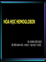 Giáo trình hóa học hemoglobin