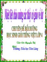 Chuyen de on tap HSG mon TV lop 4