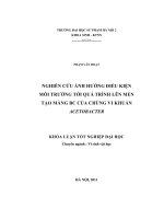 Khóa luận tốt nghiệp nghiên cứu ảnh hưởng điều kiện môi trường tới quá trình lên men tạo màng BC của chủng vi khuẩn acetobacter