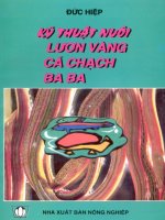 Kĩ thuật nuôi lươn vàng - ba ba