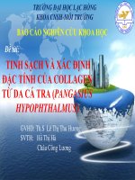Tinh sạch và xác định đặc tính của collagen từ da các tra (pangasius hypophthalmus) (ppt)