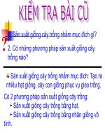 tiết 10: Sâu bệnh hại cây trồng
