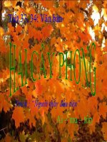 tiết 36,37- Hai cây Phong