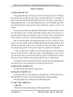 SKKN HD GIẢI BT QUANG HÌNH NÂNG CAO