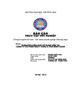 phân tích hiệu quả sử dụng vốn tại công ty cổ phần đầu tư châu á thái bình dương