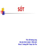 Bài giảng về hiện tượng sốt