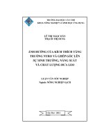 Ảnh hưởng của kích thích tăng trưởng nyro và ghép gốc lên sự sinh trưởng, năng suất và chất lượng dưa leo