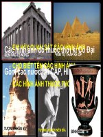 Mi thuật ý phục hưng