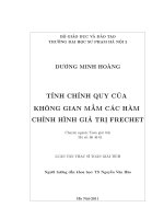 Tính chính quy của không gian mầm các hàm chỉnh hình giá trị Frechet