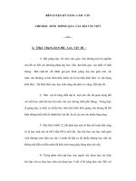 Sáng kiến kinh nghiệm Tiếng Việt 5