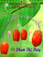 bai eo ao ( tiết 1)