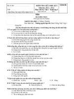 Đề KTGK I_T.Việt Lop 5