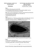 DE THI GVG THCS MON DIA- TC 2009-2012