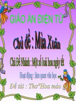 Câu chuyện: Hoa mào gà