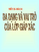 Bai 24 Đa dạng và vai trò của Giáp xác
