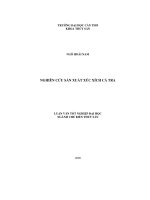 Nghiên cứu sản xuất xúc xích cá tra