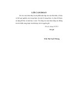 nâng cao hiệu quả kinh doanh nhập khẩu của công ty trách nhiệm hữu hạn thương mại và đầu tư thành an