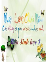 Bai 25 Nhện và đa dạng của hình nhện