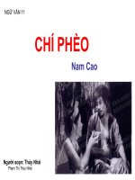 Chí Phèo ( Tác giả và tác phẩm)