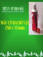 mẫu có 2 đồ vật(t1)