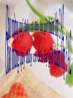 HÌNH NỀN TRANG TRÍ ĐẸP