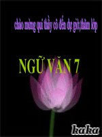 từ đồng âm (chỉnh)