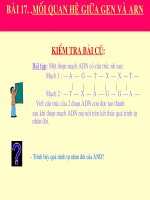 giáo án bồi dưỡng thao giảng, thi giáo viên giỏi môn sinh học lớp 9 bài 17 mối quan hệ giữa gen và arn (6)