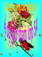 sam set dem giao thua - co le