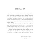 ảnh phổ tổng quát và biến đổi t- wigner