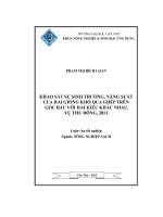 Khảo sát sự sinh trưởng, năng suất của hai giống khổ qua ghép trên gốc bầu với hai kiểu khác nhau, vụ thu đông, 2011