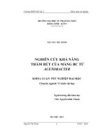 khóa luận tốt nghiệp nghiên cứu khả năng thấm hút của màng bc được tạo ra từ acetobacter