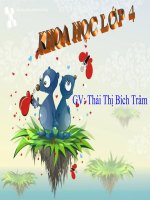 PHONG TRANH TAI NAN DUOI NUOC