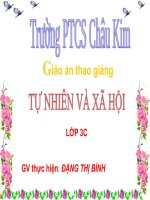 mot so hoat dong o truong 3C